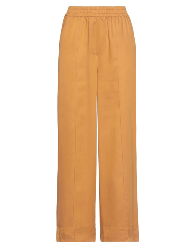 Frnch Pants In Yellow