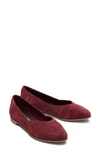 Toms Jutti Neat Flat In Burgundy