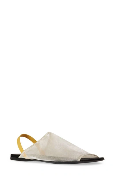 4/22迄出品THE ROW CLEAR MESH FLAT SANDAL 52105949?w=400