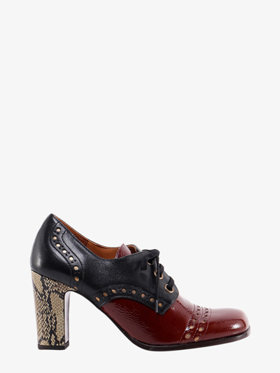 Chie Mihara Lace-up Shoe In Brown