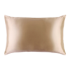 Slip Pure Silk Queen Pillowcase In Caramel