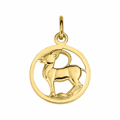 Pre-owned Juwelier Kettler Sternzeichen Steinbock 21704 333/- Gelbgold