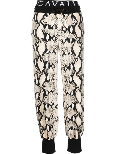 Roberto Cavalli Snakeskin-print Track Pants In Neutral