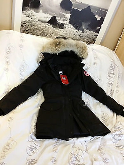 Pre-owned Label Brand "navy" "red " Canada Goose Trillium Medium Arctic Parka Jacket