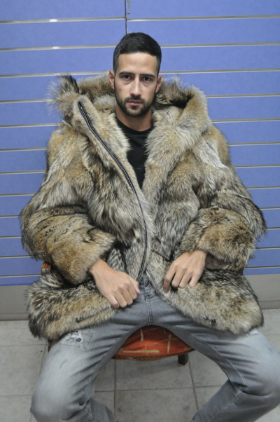 Pre-owned Fenzo Furs Luxury Full Skin Coyote Fur Mens Coat Real Fur Coyote With Hood In Gold