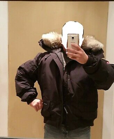 Pre-owned Pbi Custom Order Canada Goose Grey Label Black  Chilliwack Men's 3xl Parka In Polar White (polar Bear Limited Edition)