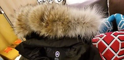 Pre-owned Canada Goose 2022 Grey Label Concept Edition Lady Black  Mystique Xl Parka Jacket In Gray