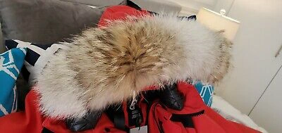 Pre-owned Canada Goose 2022 Grey Label Sunfire Red  Erickson Parka Men Size Extra-large Xl