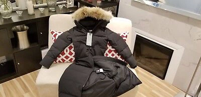 Pre-owned Canada Goose 2022 Latest Grey Label Concept Edition Black  Mystique Small Parka In Gray