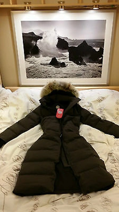Pre-owned Canada Goose Brand "red Label" Edition Graphite  Mystique Small Parka Jacket