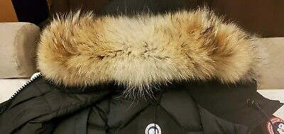 Pre-owned Canada Goose Brand Grey Label Edition Black  Victoria Ladies Xs Parka Jacket In Gray