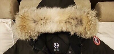 Pre-owned Canada Goose Grey Label Edition "black"  Victoria Ladies Small Parka Jacket In Gray