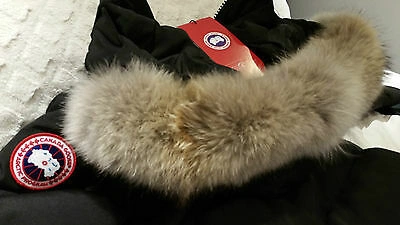 Pre-owned Label Edition Brand Red  100% Lady Black Canada Goose Mystique L Parka Jacket