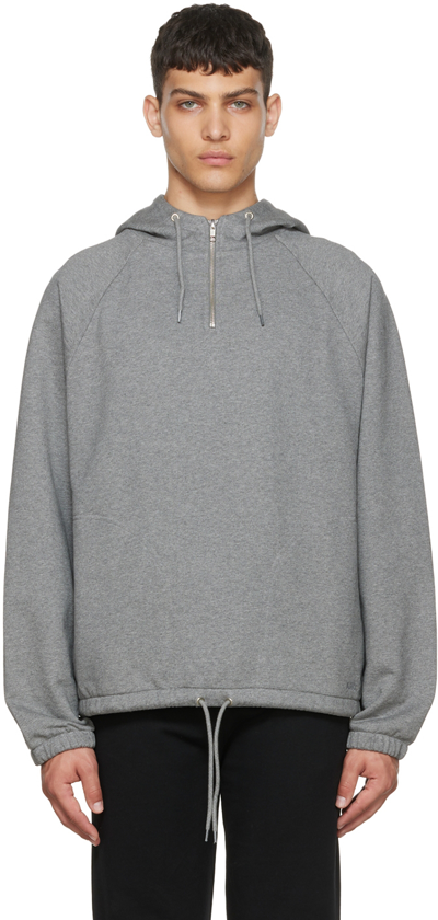 Apc Gray Ethan Hoodie In Pld Gris Fonce