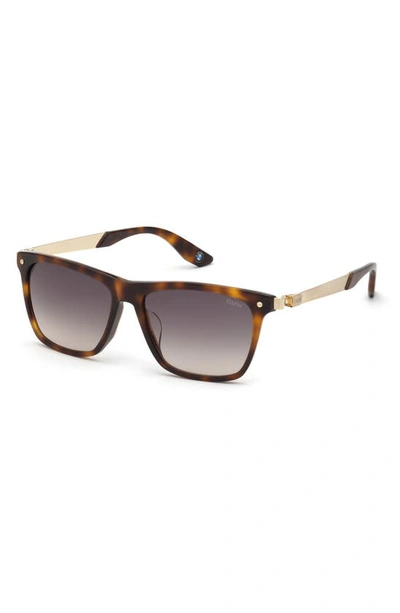 Bmw Unisex 55mm Square Sunglasses In Blonde Havana Gradient Smoke