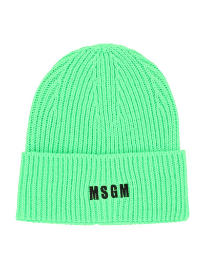 Msgm Ribbed Logo-embroidered Beanie In Green