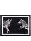 Dolce & Gabbana Zebra Placemat-napkin Set In Black
