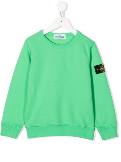 Pinko Logo-patch Crew Neck Sweatshirt In Green