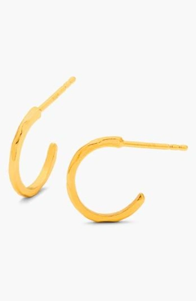 Gorjana Taner Mini Hoop Earrings In Gold