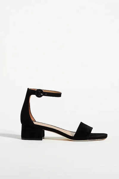 Bernardo Jalena Suede Ankle-strap Sandals In Black Kid Suede