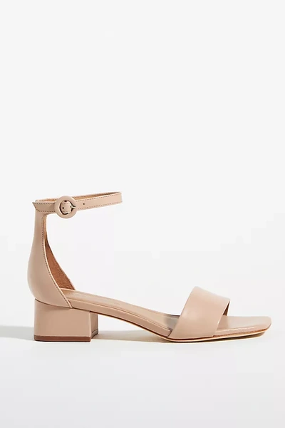 Bernardo Jalena Heels In Pink