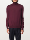 Drumohr Jumper  Men In Violet