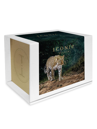 Iconic Scents Serengeti Soy Candle