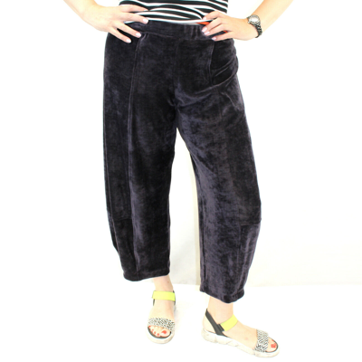 Pre-owned Alembika Plus Purple Velour Relaxed Elastic Waist Pants Size 6 (xl/1x)