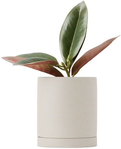 Ferm Living Taupe Large Sekki Planter In Sand