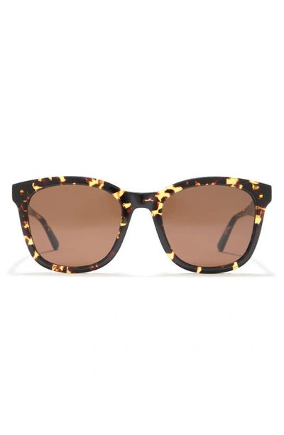 Bottega Veneta 54mm Round Oval Sunglasses In Havana Havana  display picture 1