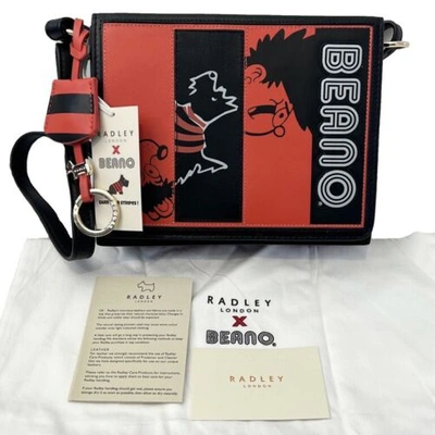 Pre-owned Radley Bag Book Street Beano Earn Your Stripes Edition Handbag