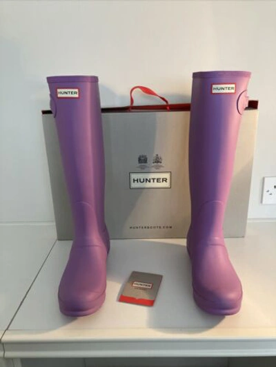 Pre-owned Hunter Women's  Original Tall Wellington Boots. Thistle (lilac). Uk 7. Bnib