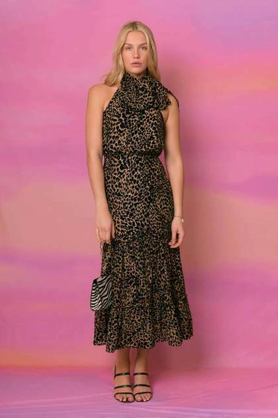 Pre-owned Rixo Eleanor Leopard Burnout Halterneck Tie Midi Dress Size L Xl