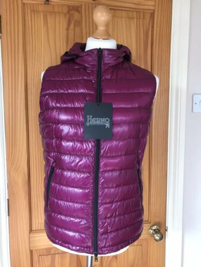 Pre-owned Herno Ultralight Purple Packable Goose Down Waistcoat/gilet-size M (48)-new With Tags