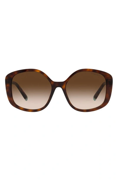 Tiffany & Co 54mm Gradient Irregular Sunglasses In Havana/ Brown Gradient