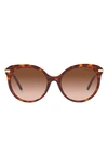 Tiffany & Co 55mm Gradient Cat Eye Sunglasses In Havana/brown Gradient