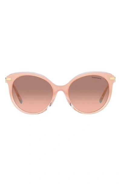 Tiffany & Co 55mm Gradient Cat Eye Sunglasses In Milky Pink/ Pink Dark Brown