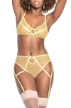 Mapalé Mapale Mesh Underwire Bra & Panties With Removable Garter Straps In Amalfi Yellow