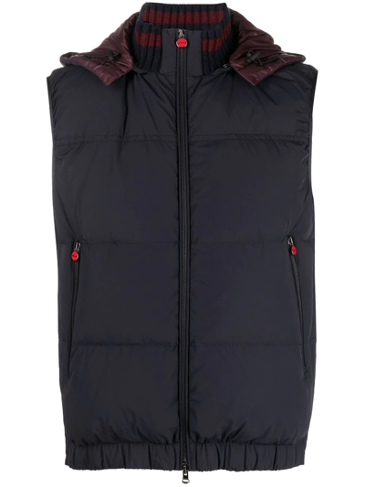 Kiton Man Padded Vest In Navy Blue Quilted Nylon In Blu Navy