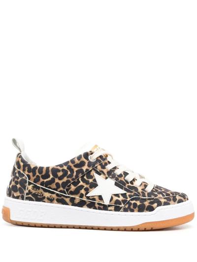 Golden Goose Superstar Leopard-print Suede Glitter Sneakers In Brown