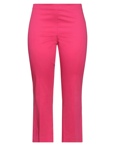 Berwich Pants In Pink