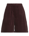 Semicouture Woman Shorts & Bermuda Shorts Dark Brown Size 6 Cotton, Elastane