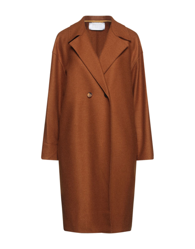 Harris Wharf London Coats In Brown