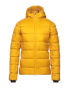 Invicta Down Jackets In Yellow