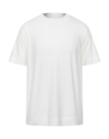 Circolo 1901 T-shirts In White