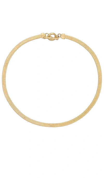 8 Other Reasons Tubular Chain Necklace In Metallic Gold