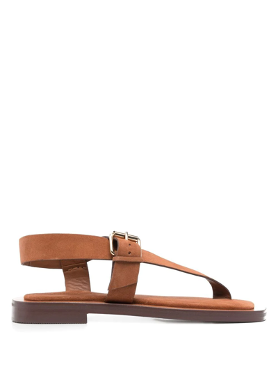 A.emery Hilla 25mm Leather Sandals In Brown