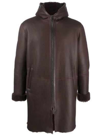Tagliatore Wilson Hooded Shearling Coat In Brown