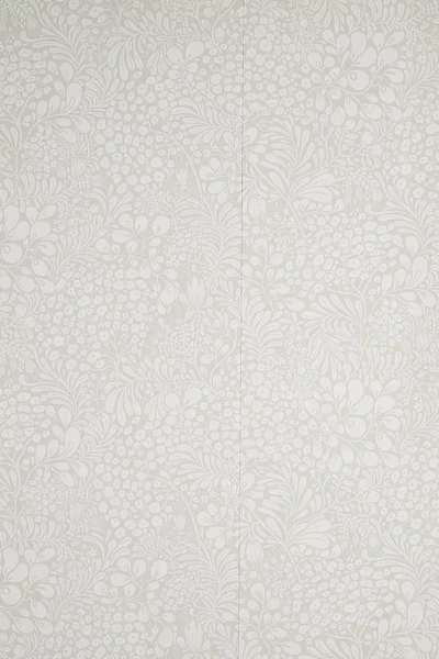 A-street Prints Siv Botanical Wallpaper In Grey