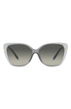 Tiffany & Co Wheat Leaf 57mm Cat Eye Sunglasses In Grey